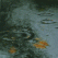 <b>Q) What surprises you about the city?</b><br><hr><b>A)</b> I love the way that you can escape the bustle when you need too - beautiful, quiet places are sometimes only a walk away.