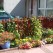 <b>Q) What surprises you about the city?</b><br><hr><b>A)</b> Dundee's diverse cultures, bonny buildings, welcoming and friendly people.