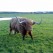 <b>Q) What surprises you about the city?</b><br><hr><b>A)</b> Dundee is one of the greenest cities in the UK.Everywhere you go in Dundee there are parks, green spaces and trees.
