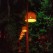 <b>Q) What surprises you about the city?</b><br><hr><b>A)</b> The purple lights in the trees on Perth Road.

The DCA!