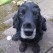 <b>Q) What surprises you about the city?</b><br><hr><b>A)</b> Dundonian's really have a great banter, our sense of humour is second to none, and we are unique in that OUR 'village' follows the 'one degree of separation' rule - everyone knows someone, who knows someone. Also, regardless of where anyone stays or works in the city, you're only ever 10 minutes distance away!