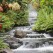 <b>Q) What surprises you about the city?</b><br><hr><b>A)</b> Spend the week in the bustling city centre at the McManus Galleries or shopping in the Overgate and the weekend with the family at Camperdown Park or Discovery Quay. There is always something to do!