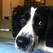 <b>Q) What surprises you about the city?</b><br><hr><b>A)</b> With such an industrial history Dundee has a surprising amount of green spaces. Whatever the weather there is somewhere beautiful to go out walking with the dog.