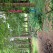 <b>Q) What surprises you about the city?</b><br><hr><b>A)</b> Templeton Woods, one of many public outdoor spaces in and near Dundee, is a wonderful place with fun artwork