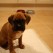 <b>Q) What surprises you about the city?</b><br><hr><b>A)</b> Many people forget that we have a lovely beach on our door step!

I pick up after my dog so people should pick up after themselves and their children.

Lets keep in lovely.